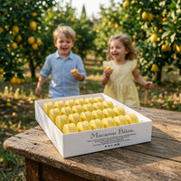 Lemon French Macarons Macaron Bites® - 24 Count