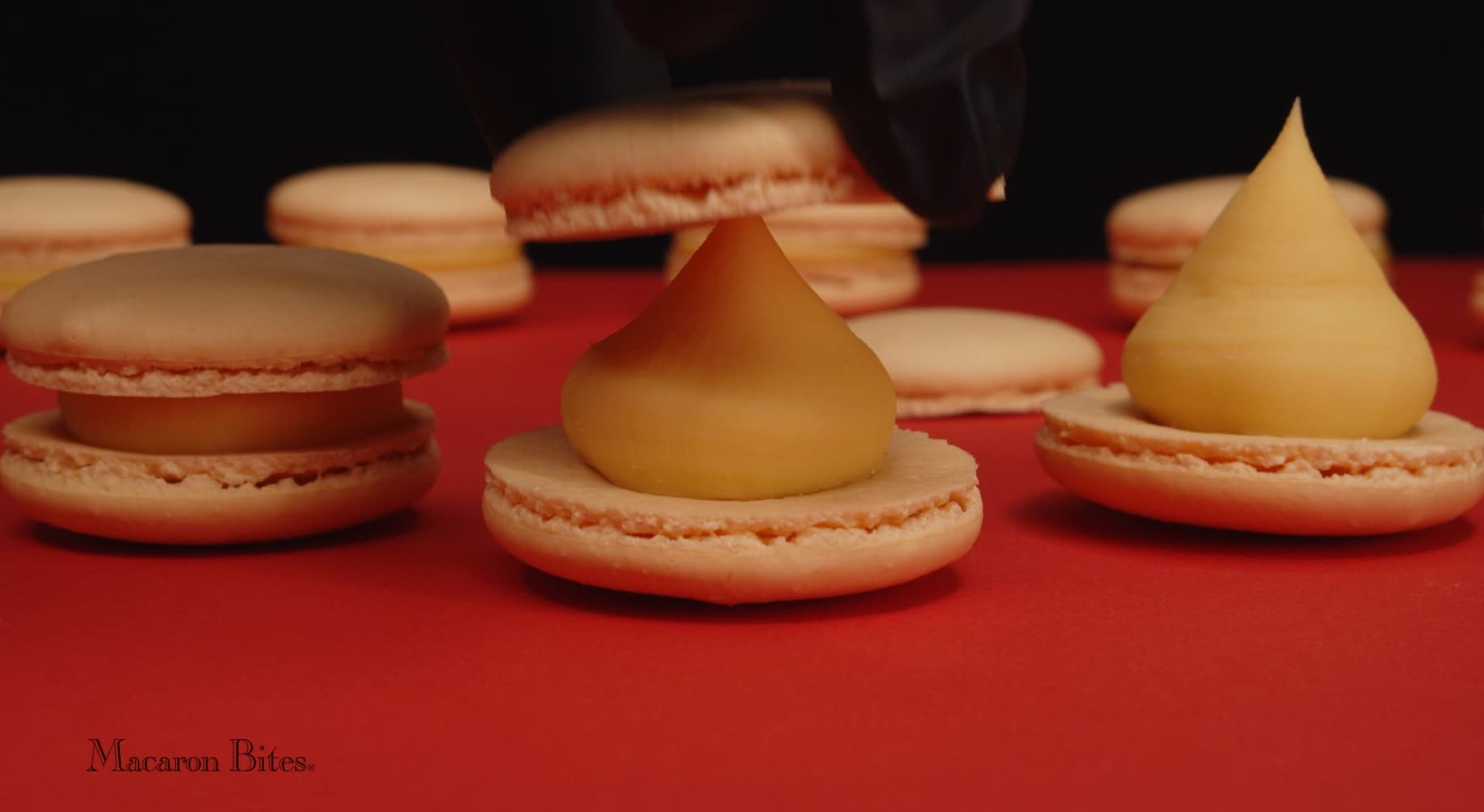 Gourmet Macarons Gift Box - 24 Pack | Assorted French Macarons