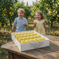 Lemon French Macarons Macaron Bites® - 24 Count
